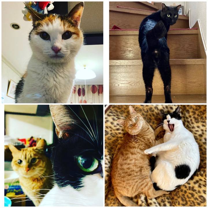 Ddf75cad 6e0b 4f47 8c47 a77f597a24ca 1684384173742