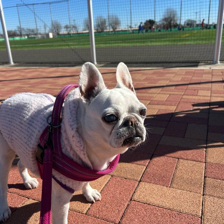 Ddf76b65 d8af 4c5a a8da 5e82b0ba60be 1736585000968