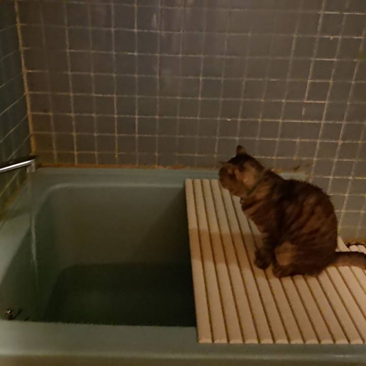 Ddf7977b ec68 4f91 9bfd a9a8b6ab6328 1568887230243