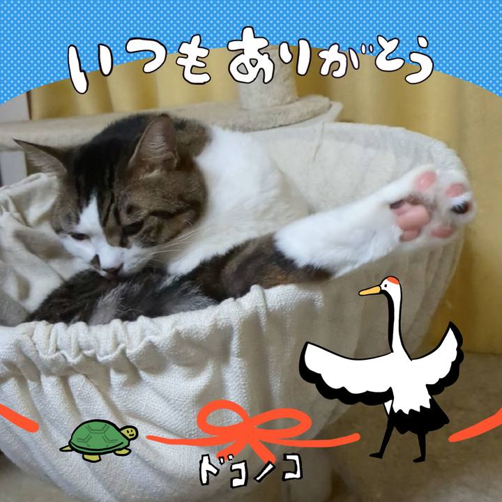 Ddf7a244 7054 4a85 90bb f3ec3d689970 1726974147457