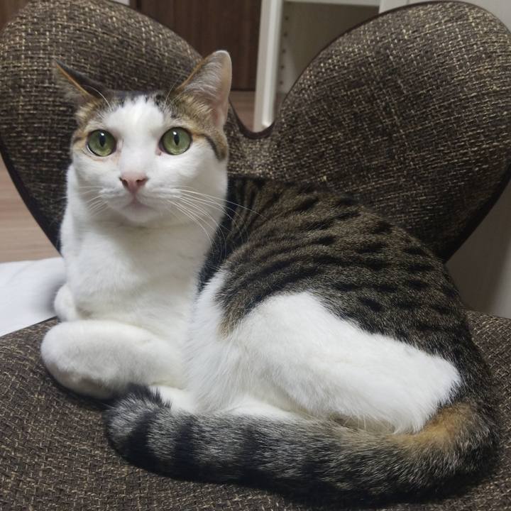 Ddf7a379 3e58 4d24 a60b 05382f8e1938 1550832796690