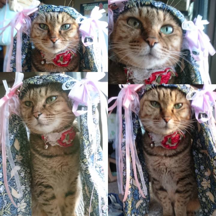 Ddf7a7f0 04ea 49b8 b1e3 c967919a7b89 1760745837193