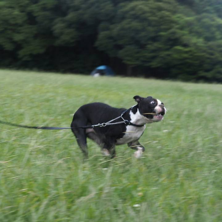 Ddf7f26c e94a 4bdb 8d84 8597db5bfc34 1534568654573