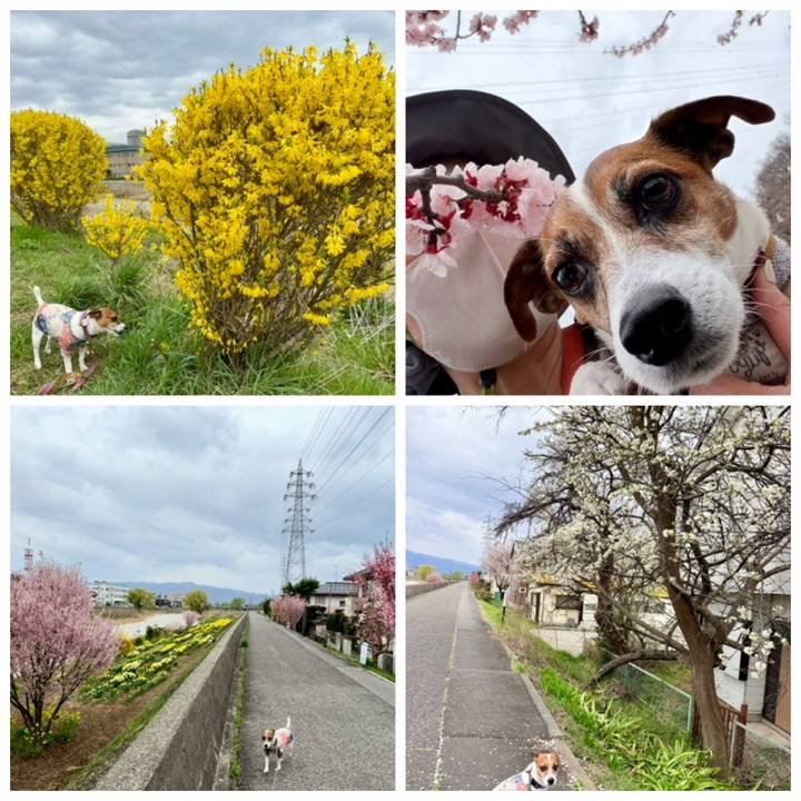 Ddf7f890 5667 468b 811e 1721838e25f2 1775287312987