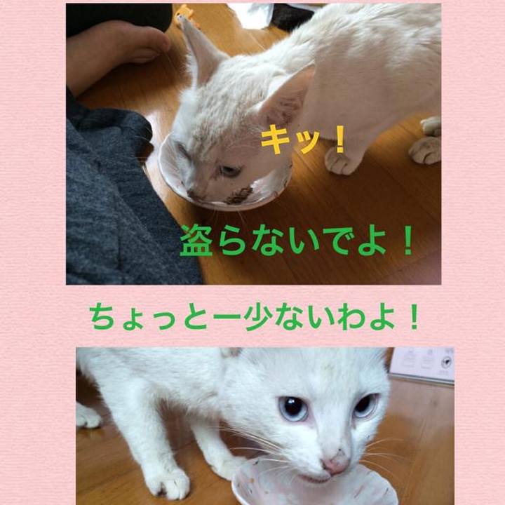 Ddf806c4 dd2d 4569 a9be 466205c00485 1560656322787