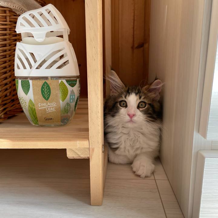 Ddf84372 ea07 48f6 9711 4fd72192a096 1632386582541