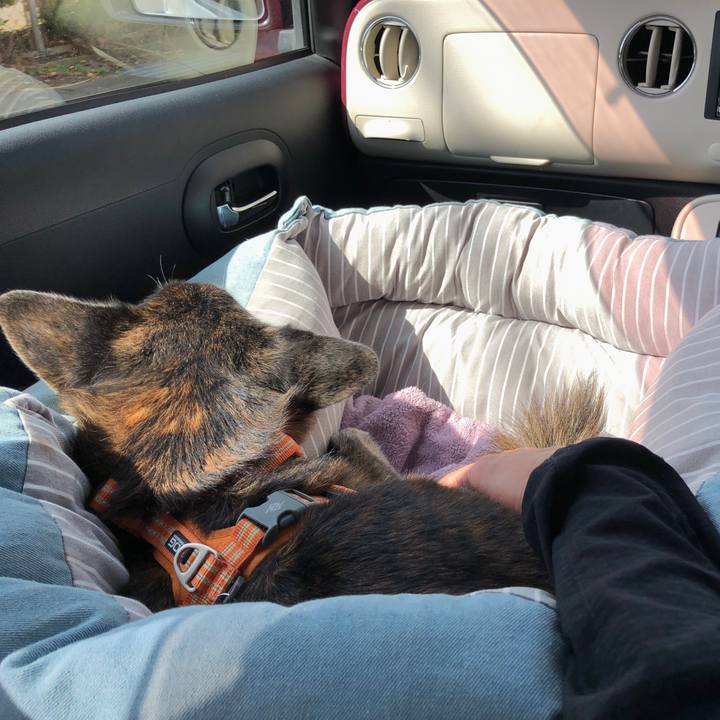 Ddf897f6 2a58 4800 b3af d62c49fcbdda 1698488937968