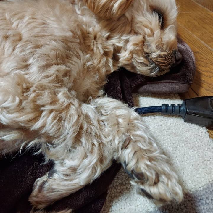 Ddf8a113 1821 4bb1 871a 7b2f1cff28cc 1645408524153