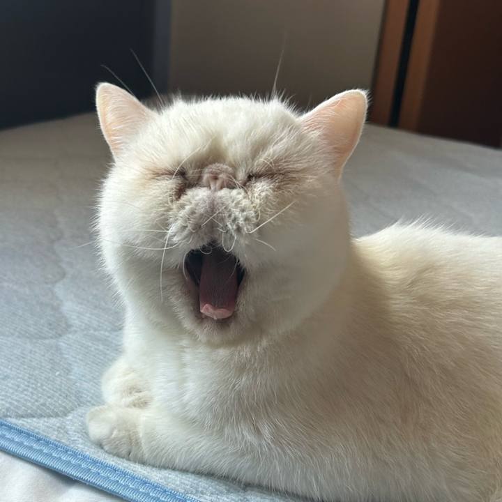 Ddf8bba3 0ce3 4549 944e 7117a1ae47c7 1726105036583