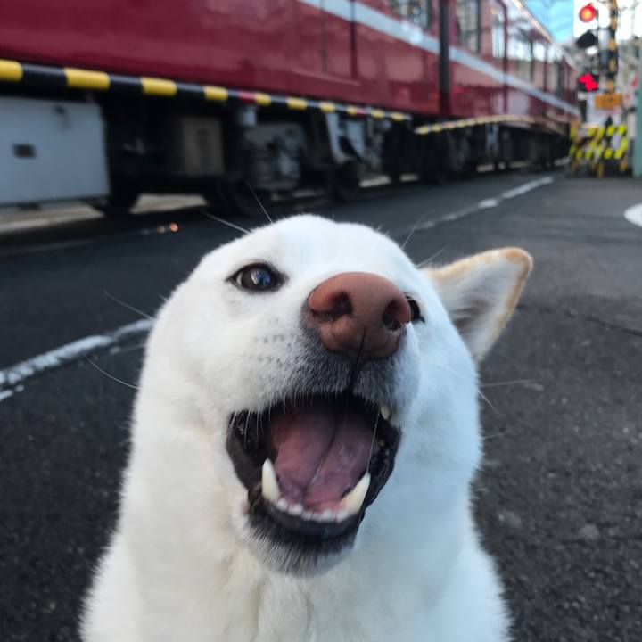 Ddf8c23e 73b9 4319 9446 7c91765f6aad 1514158237709