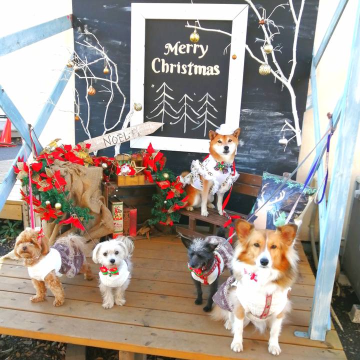 Ddf8f9b6 b0bf 4c52 bf27 0ead705998ad 1671440944140