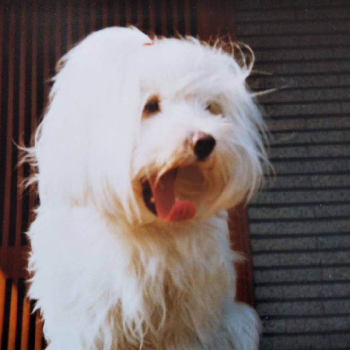 Ddf90aac 1470 40a9 83ca bf1abe636457 1539004992763