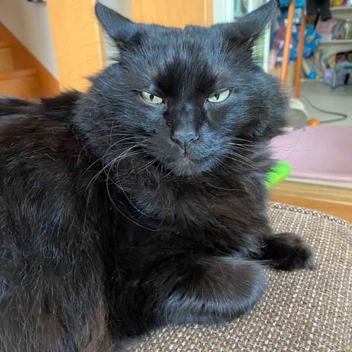 Ddf919b2 6fc1 4463 a302 0972e1fb9d38 1607316212350