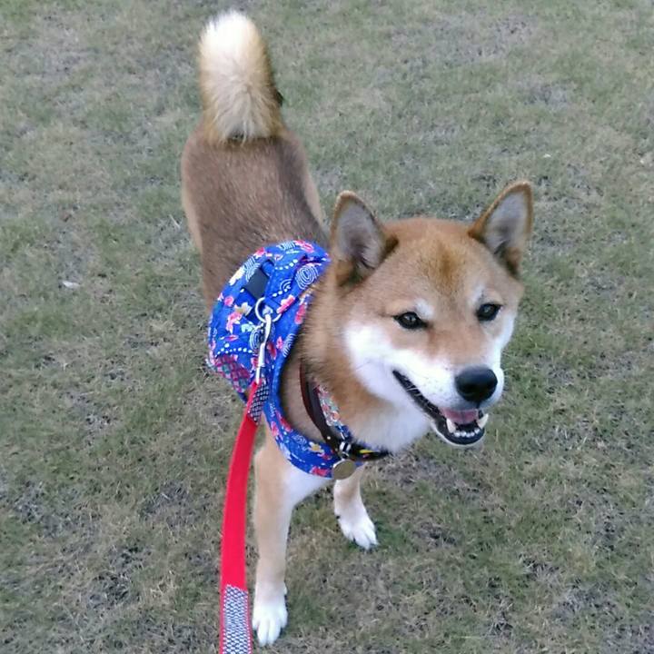 Ddf98fc3 1859 4a1f 8ac5 800dba71ee3e 1535357560015