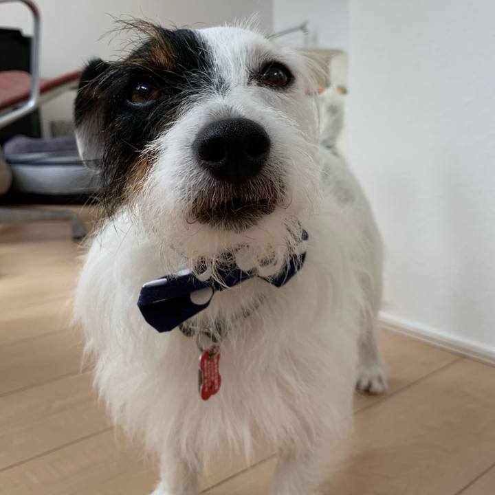 Ddf9c029 6274 4ec6 9a83 e216c50147e7 1593922228396