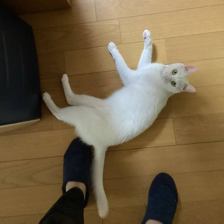 Ddf9e208 b58b 441e 9e20 949635a8f886 1655591828423