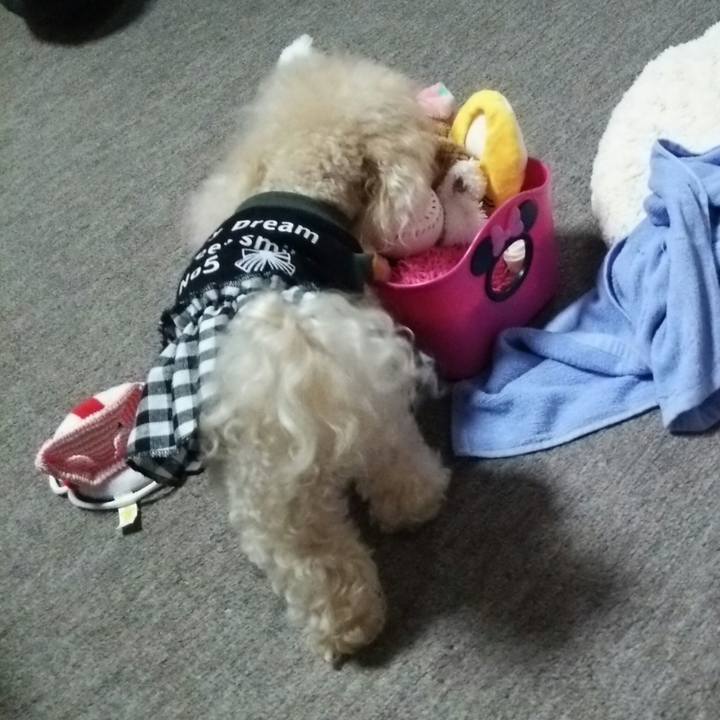 Ddfa2bcc 056a 4cad b129 e9209a235a12 1538224624320