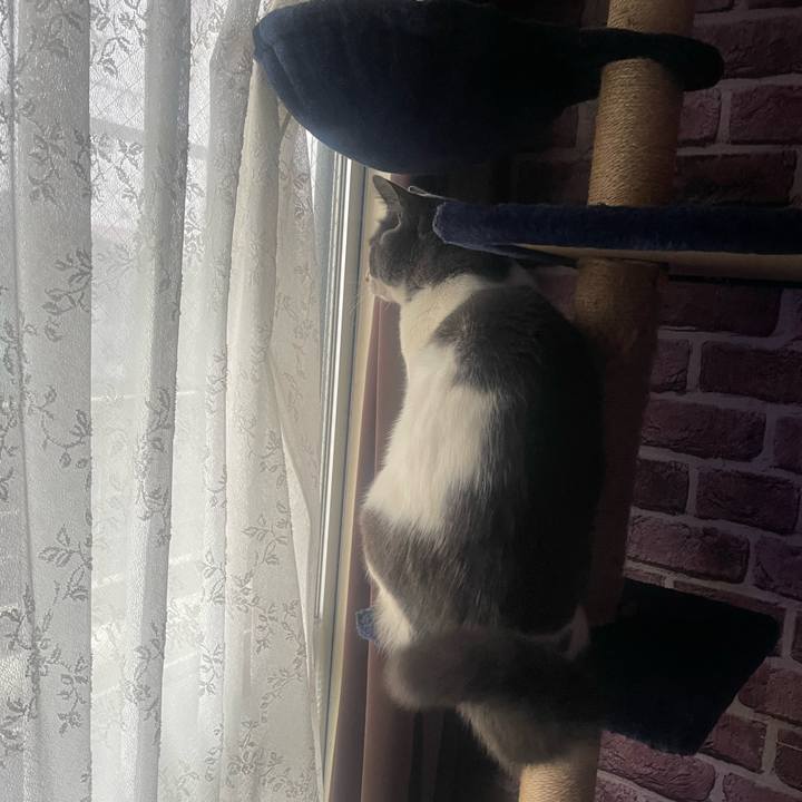 Ddfa2c07 d094 4fdb 92e9 26b54bc7113b 1740174955774