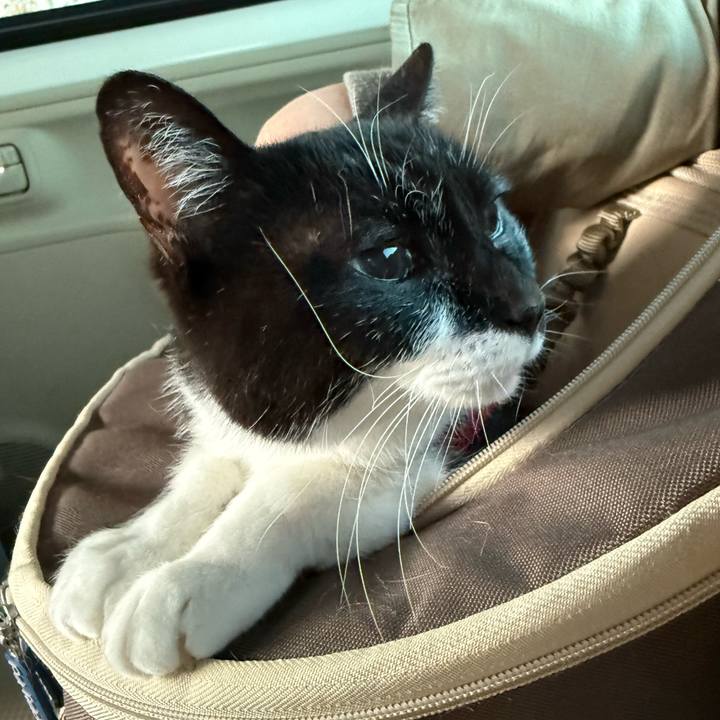 Ddfa3d84 c0dc 40a2 816c 51b12e7b4d5c 1773147115952