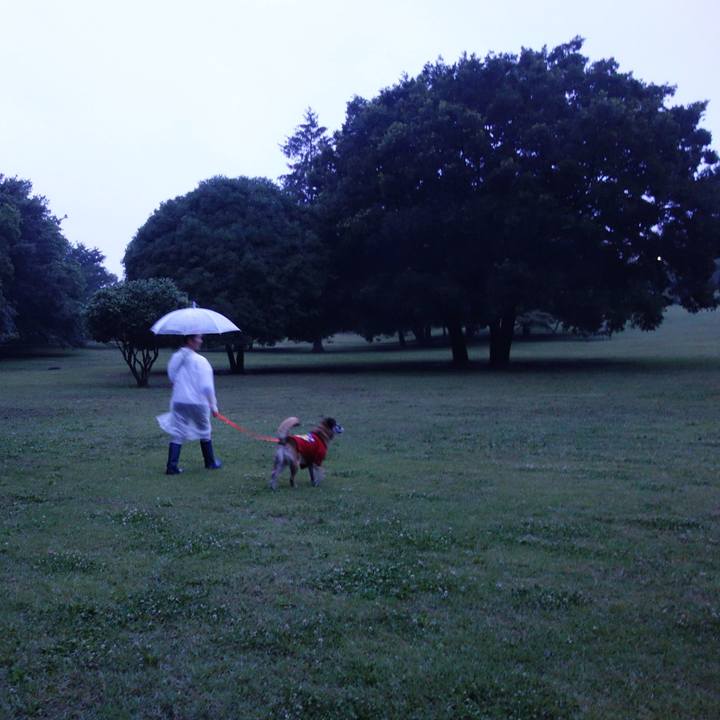 Ddfa40ad 900a 4ae8 a4f7 bcea99a4b3be 1528636489450