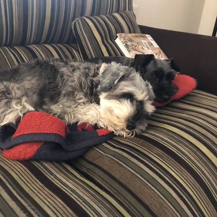 Ddfa7eb5 e36a 4423 a722 214b745a545e 1520056683087