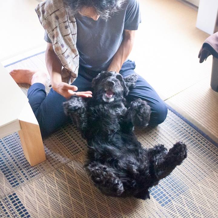 Ddfad7f9 037f 4f39 90b8 d43e99da8cb6 1593867483714