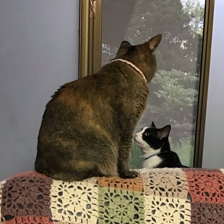 Ddfadfec 64a4 46a8 81e8 439f0a110011 1719741921452