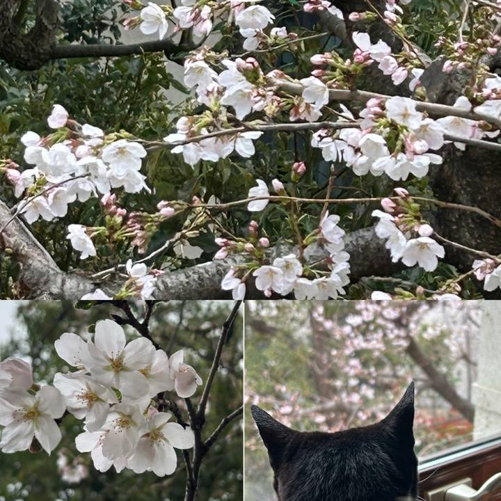 Ddfae7b9 3ba7 4f7e b0df 565df4dd5969 1773904693840