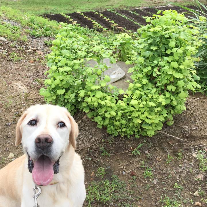 Ddfae925 6a4b 440a b590 eac1a414f410 1537233431672