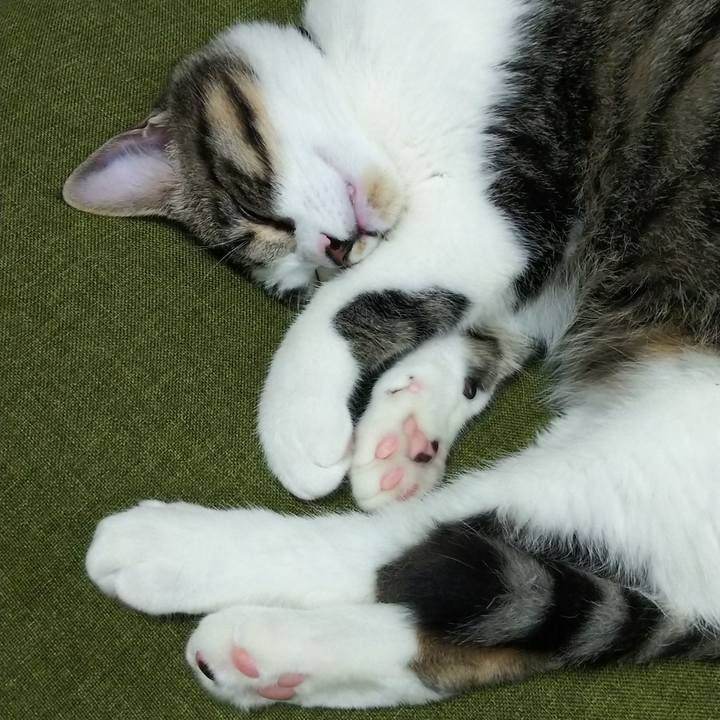 Ddfaed20 fb1a 4df2 962f b86c52f9a4a1 1616247304710