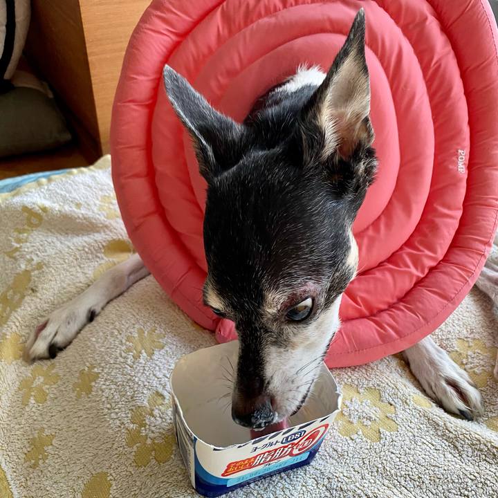 Ddfb3fad 219c 41a2 9a68 a819a5e623a5 1630361091335