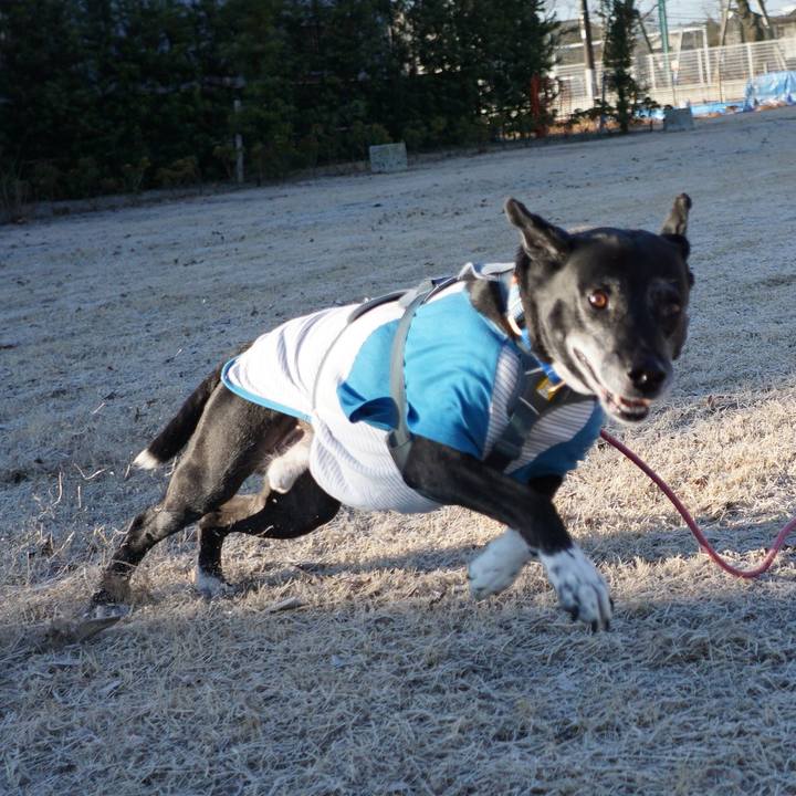 Ddfbabf0 49b9 4407 9ff9 646732dc2c7a 1767056795511