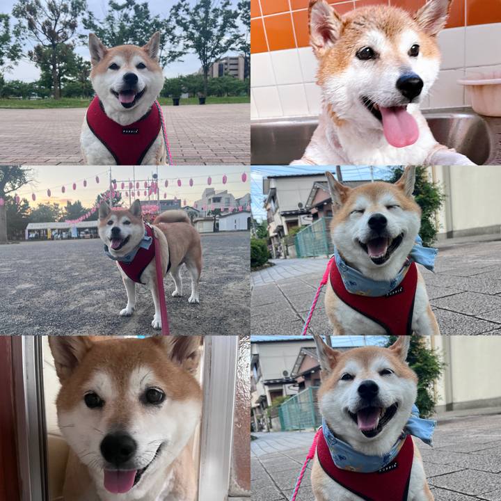 Ddfc3dd9 fc25 4ddd b475 3713c93268d8 1725902660871