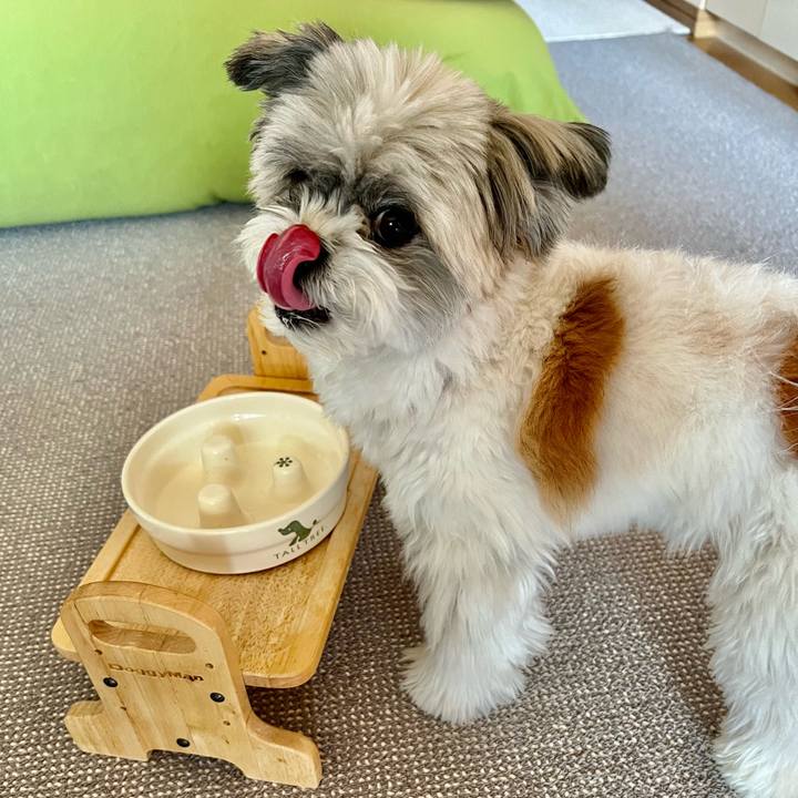 Ddfca649 bb73 4f3a 9a94 31086c1330cb 1646094944325