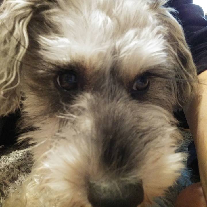 Ddfcab8b f32f 4215 9b71 05e96fbfa48d 1668724873852