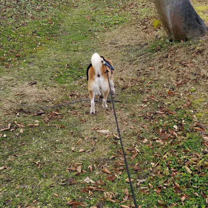 Ddfcc93e d630 4746 9495 e480c94062e7 1637898325787