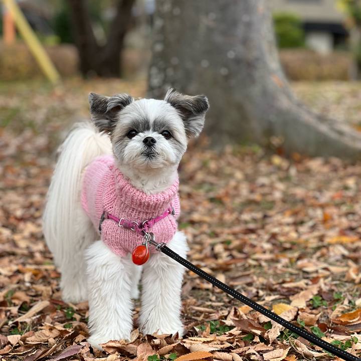 Ddfcd571 4ca7 41db 97d1 409d8e1939d1 1669172335276