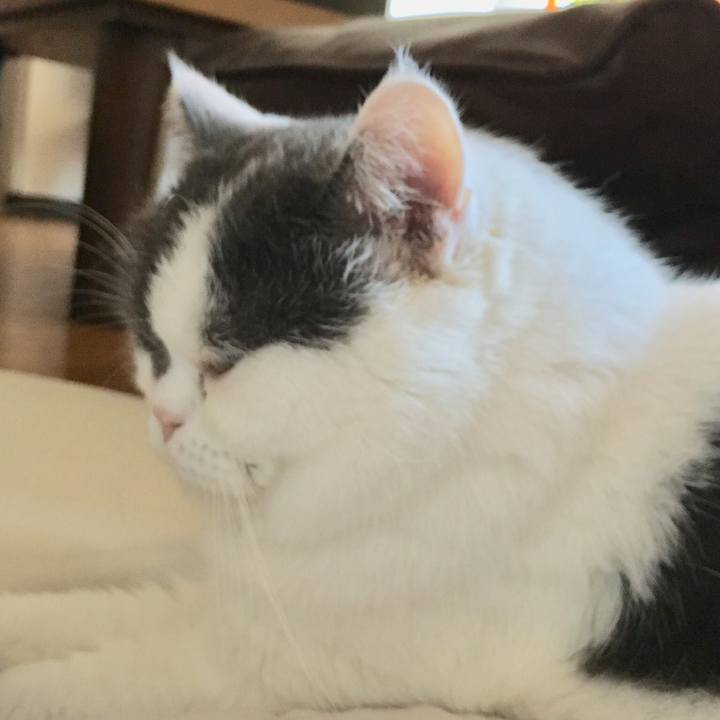 Ddfd0d3d b314 451b 9809 3b0072983cab 1533852349424