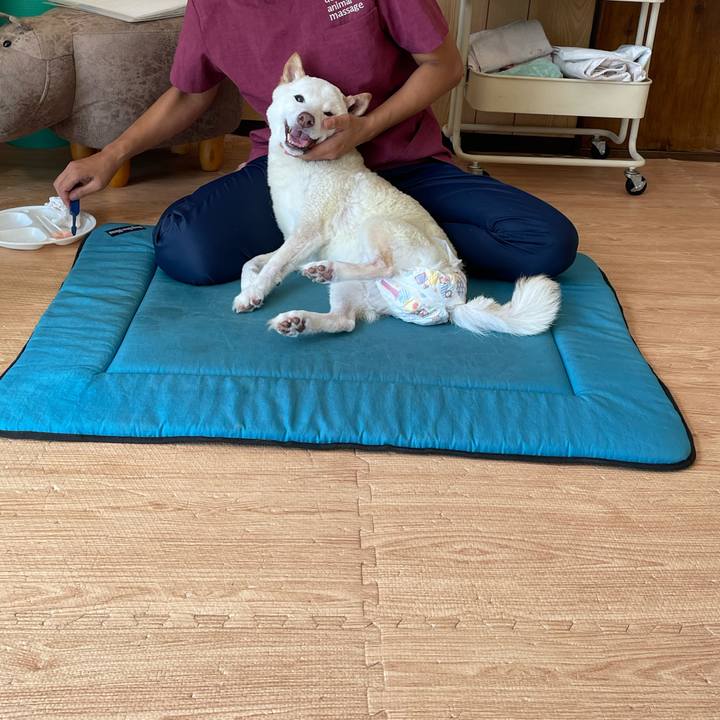 Ddfd2f35 0cc2 4ff4 94be 031d3c8a0f01 1663678447674