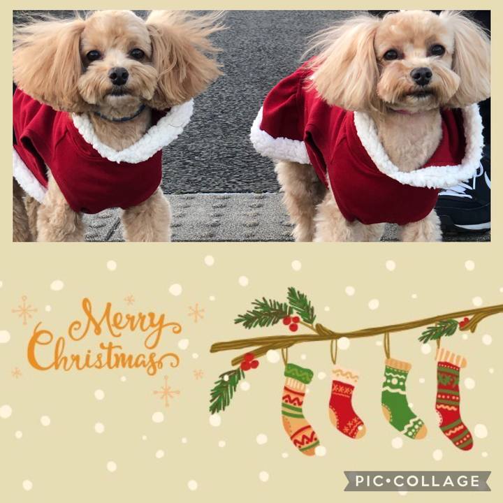 Ddfd34ea b394 4fed bd4c 22f87597b684 1671969034978