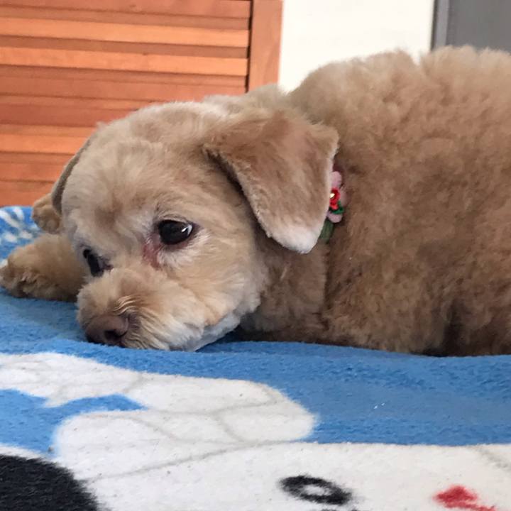 Ddfd43ec 38aa 4bf5 a018 c198905e0933 1541412426838