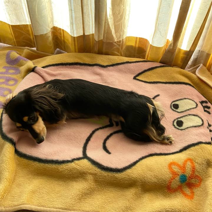 Ddfd7cf8 ebae 4864 a682 a66c16dfdd55 1700110187535