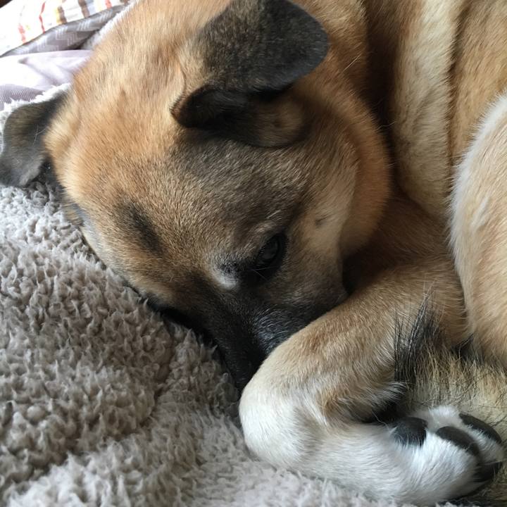 Ddfd8558 a680 41e6 a4b9 69dce7dc20bd 1514521837962