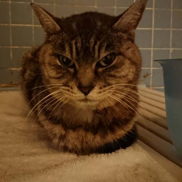 Ddfdcdea 16d1 40de 92aa 09825c59420c 1579511848057