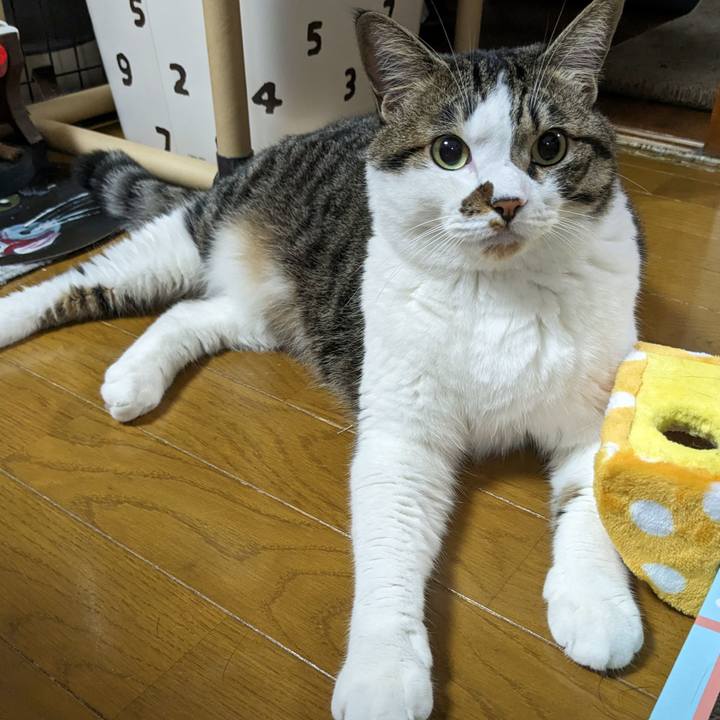 Ddfdeb94 e76f 45fe ac47 d6bc00b86621 1688827636225