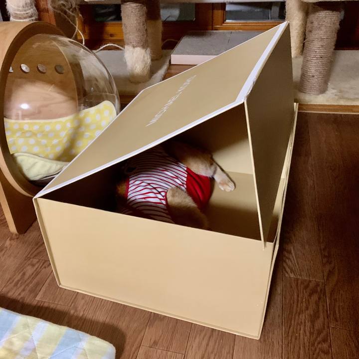 Ddfdee0c 903a 4230 bc97 1564a911b355 1593601850969