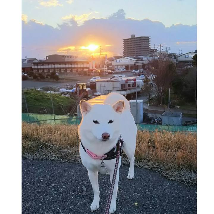 Ddfe12ba 4739 42b1 9c7a 46f5b6e5e869 1515053755379