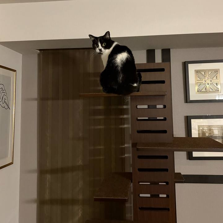 Ddfe3ff2 7436 4133 81ce 2d586f1b5fb1 1766061708512