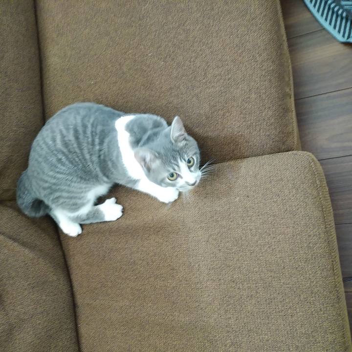 Ddfe5e76 24c1 4584 bd6c cd3538b11e71 1568077406561