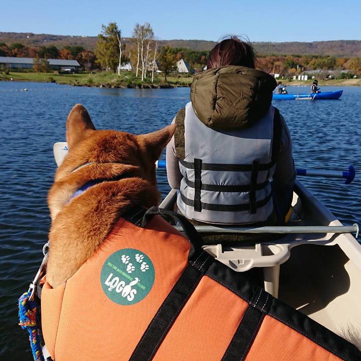 Ddfe983d a0a5 48d2 a78d cf7224dee45e 1509201218684